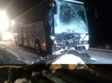 Při závažné nehodě autobusu se stádem krav byly zraněny čtyři osoby a uhynulo devět kusů dobytka